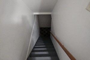 1000004703 1000004703